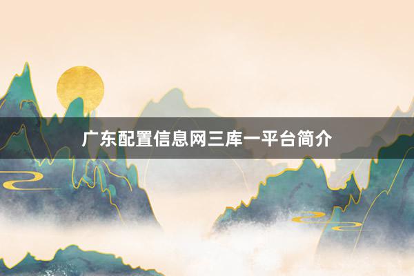 广东配置信息网三库一平台简介